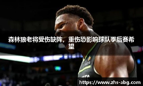 森林狼老将受伤缺阵，重伤恐影响球队季后赛希望